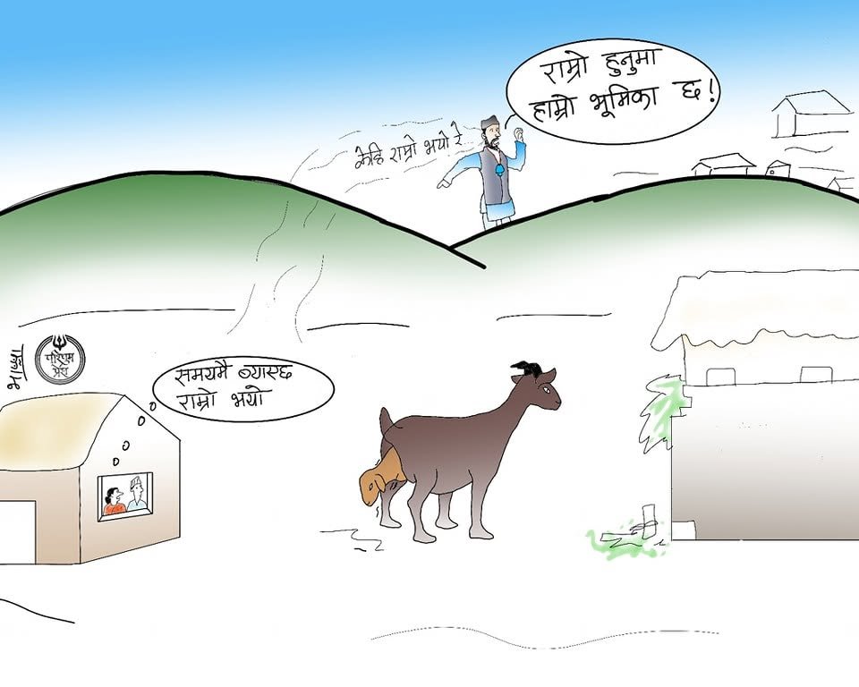 Cartoon